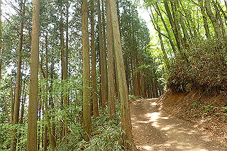 p5062786_thumb.jpg