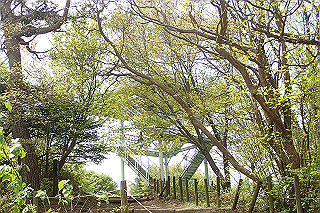 p5062787_thumb.jpg