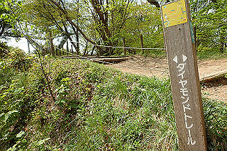 p5062788_thumb.jpg