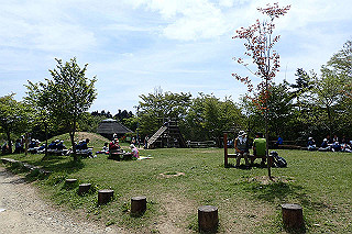 p5062789_thumb.jpg