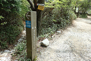 p5062792_thumb.jpg