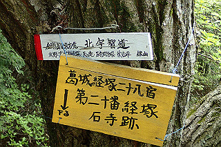 p5062793_thumb.jpg
