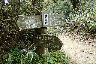 p5062794_thumb.jpg