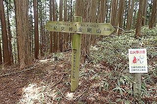 p5062797_thumb.jpg