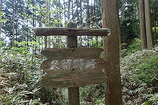 p5062798_thumb.jpg