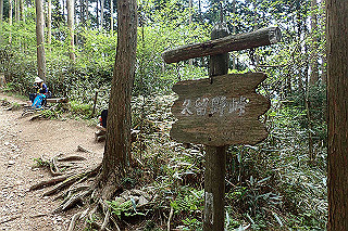 p5062799_thumb.jpg