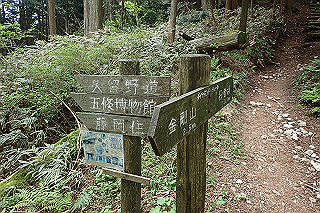 p5062800_thumb.jpg