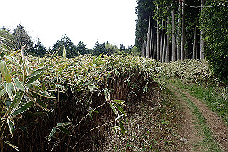 p5062802_thumb.jpg