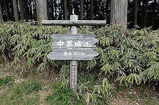 p5062805_thumb.jpg