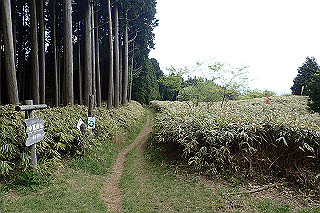 p5062806_thumb.jpg