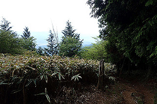 p5062807_thumb.jpg