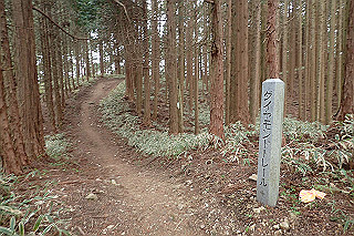 p5062811_thumb.jpg