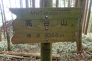 p5062816_thumb.jpg