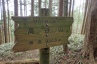 p5062817_thumb.jpg
