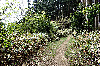p5062818_thumb.jpg