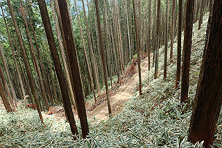 p5062821_thumb.jpg