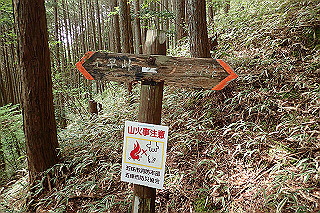 p5062824_thumb.jpg