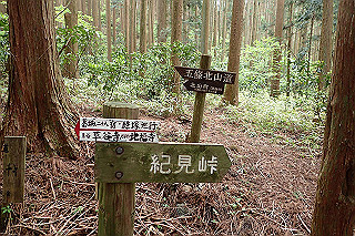 p5062825_thumb.jpg