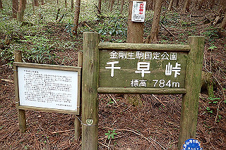 p5062826_thumb.jpg