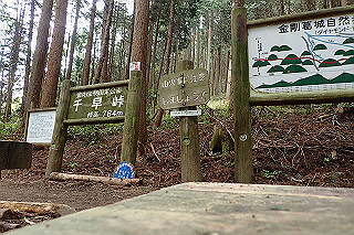 p5062827_thumb.jpg