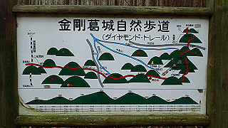 p5062831_thumb.jpg