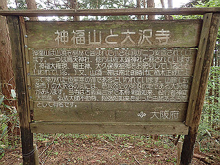 p5062832_thumb.jpg