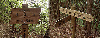 p5062833_thumb.jpg