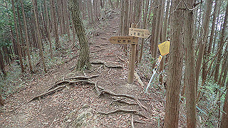 p5062834_thumb.jpg