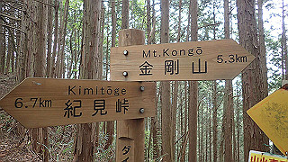 p5062835_thumb.jpg