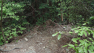 p5062836_thumb.jpg