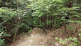 p5062837_thumb.jpg