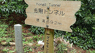 p5062838_thumb.jpg
