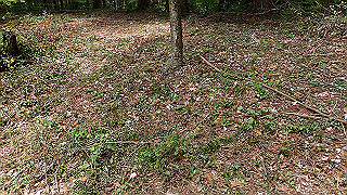 p5062839_thumb.jpg