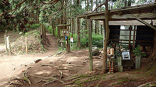 p5062840_thumb.jpg