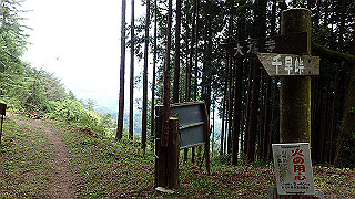 p5062841_thumb.jpg