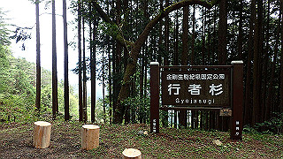 p5062842_thumb.jpg
