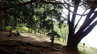 p5062846_thumb.jpg