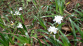 p5062848_thumb.jpg