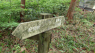 p5062849_thumb.jpg