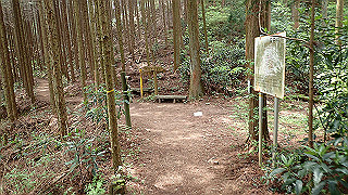 p5062852_thumb.jpg
