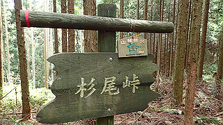 p5062853_thumb.jpg