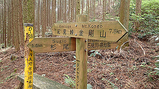 p5062855_thumb.jpg