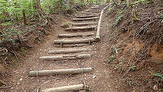 p5062856_thumb.jpg