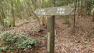 p5062857_thumb.jpg