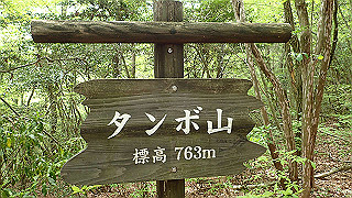 p5062858_thumb.jpg