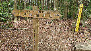 p5062859_thumb.jpg