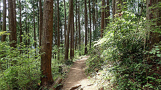 p5062861_thumb.jpg