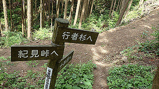 p5062862_thumb.jpg