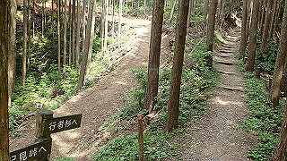 p5062863_thumb.jpg
