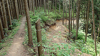 p5062865_thumb.jpg